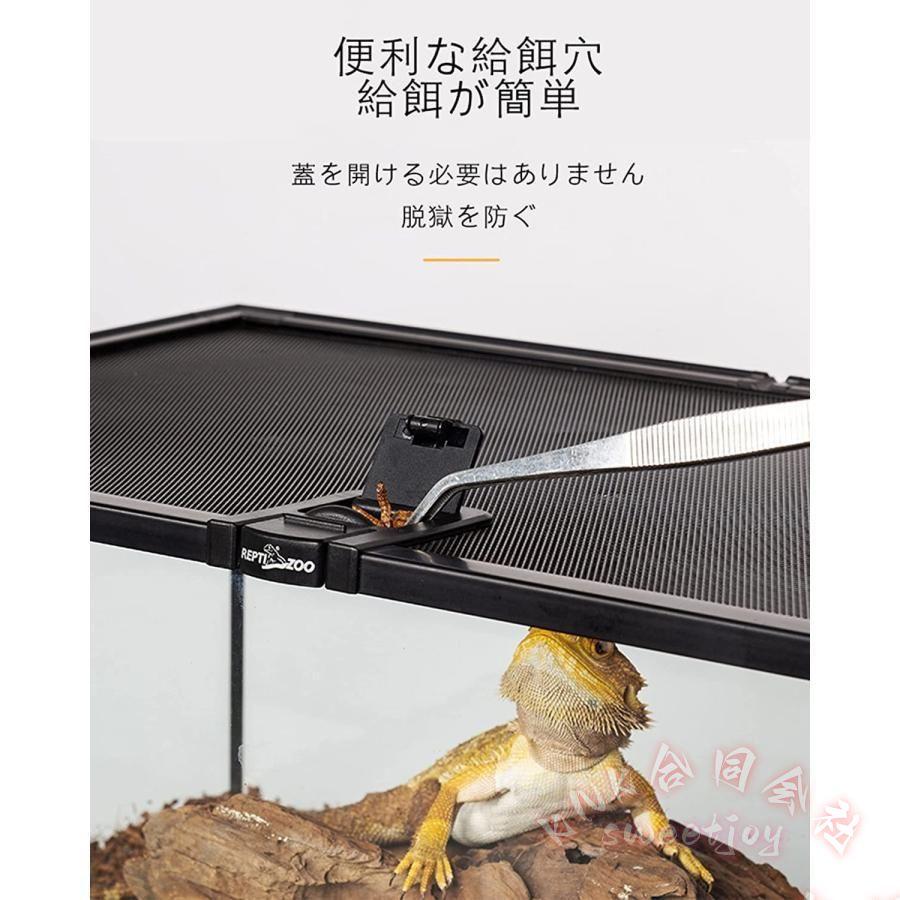 爬虫類ケージ 透明 飼育ケース レプタイルボックス KNK(株) トカゲ 両生類 クモ カエル 飼育セット 脱出防止 透明飼育容器_2