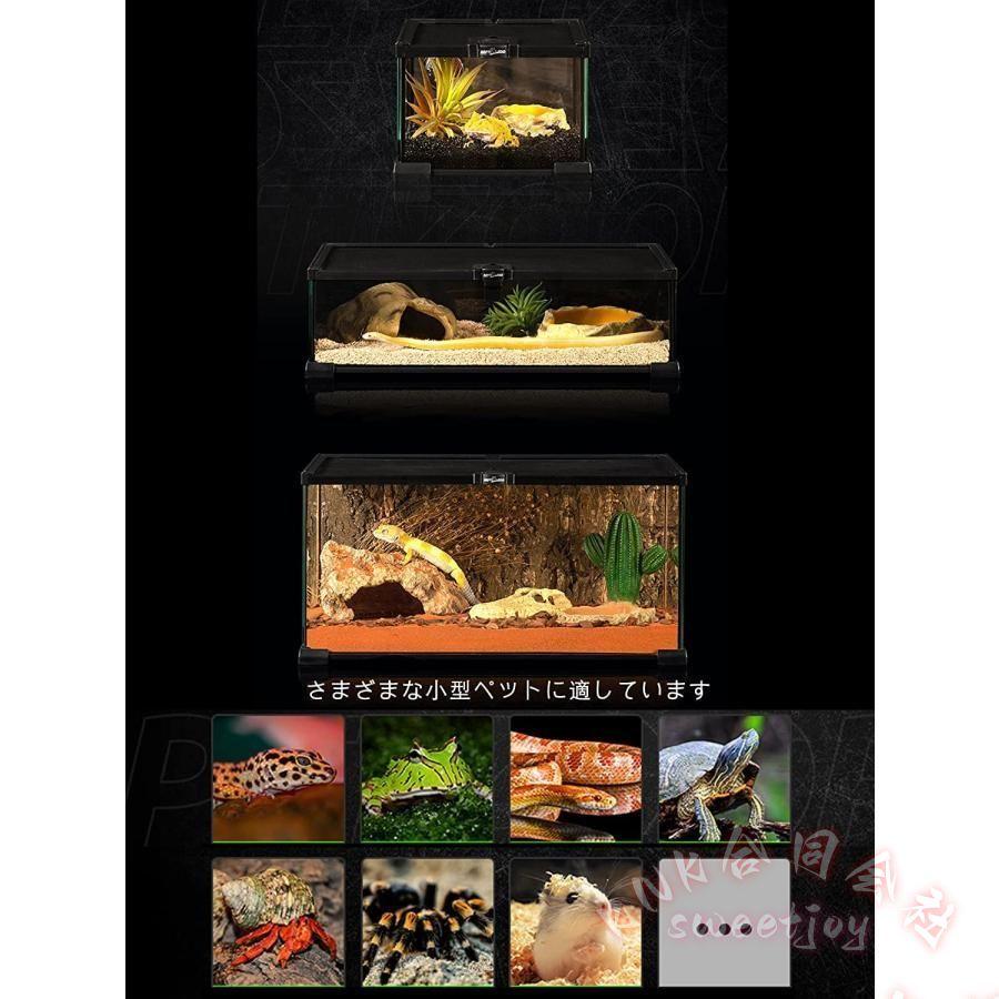爬虫類ケージ 透明 飼育ケース レプタイルボックス KNK(株) トカゲ 両生類 クモ カエル 飼育セット 脱出防止 透明飼育容器_6