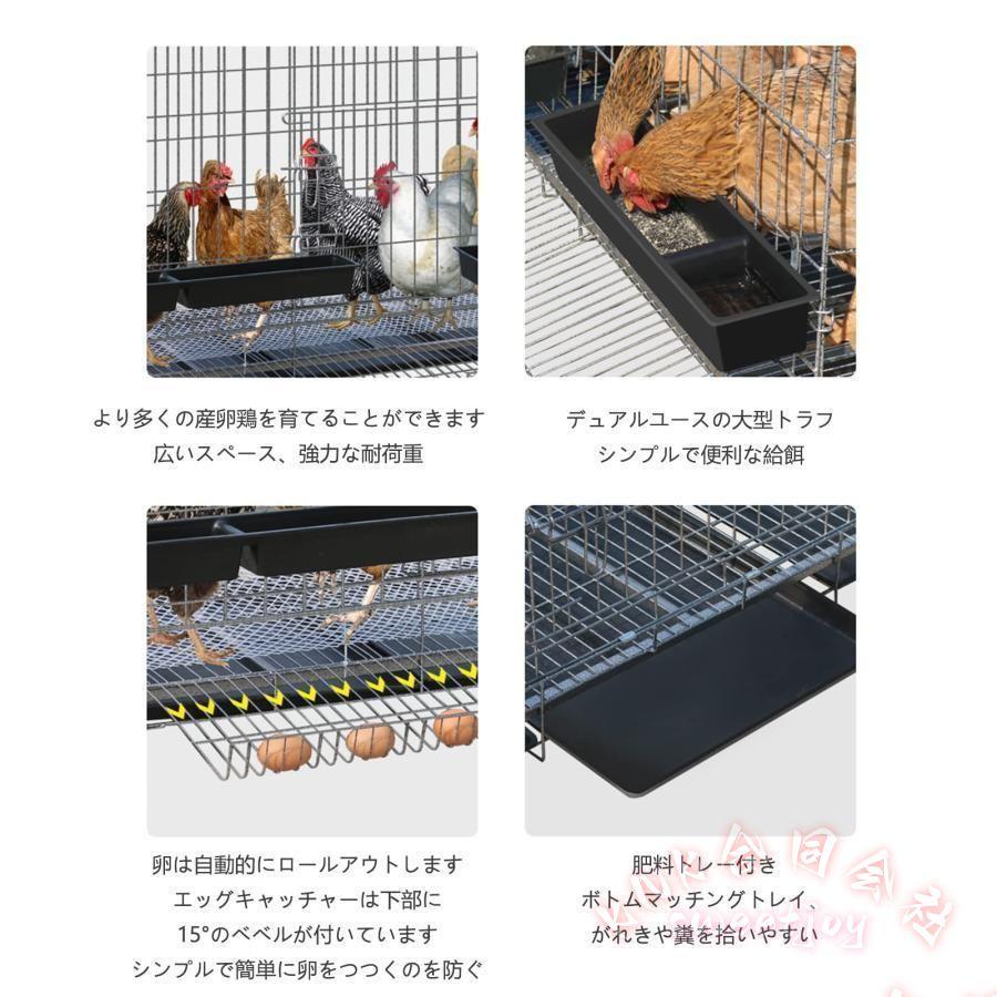 特大 折りたたみ鶏小屋 チキンケージ トレー付 KNK(株) 自動エッグロール フードボウル付き 大型 飼育ケージ 省スペース 掃除しやすいの画像
