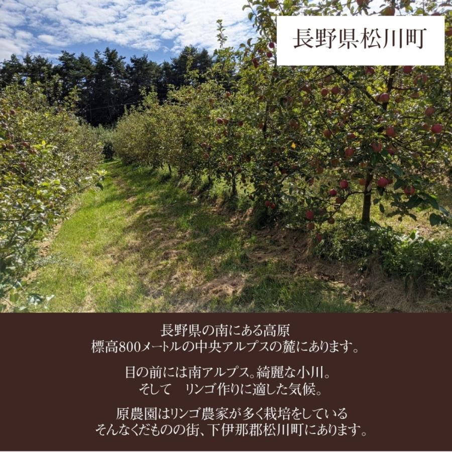りんご 【原農園】 リンゴ サンふじ 訳あり 家庭用 10kg 長野県 松川町 《12/上旬〜12/中旬より出荷》 |  | 01