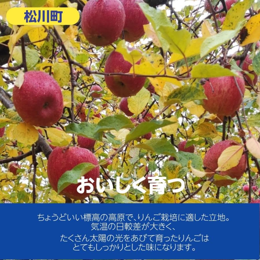 りんご 【原農園】 リンゴ サンふじ 訳あり 家庭用 10kg 長野県 松川町 《12/上旬〜12/中旬より出荷》 |  | 02