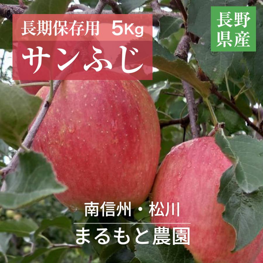 りんご 【まるもと農園】長期保存用 サンふじ 5kg 9〜20個 長野