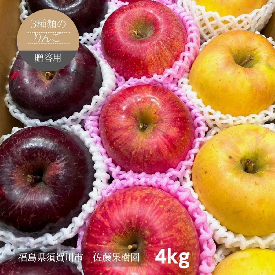 りんご出品 りんご 【佐藤果樹園】 御歳暮 3種の林檎セット ふじ ぐんま名月 こう
