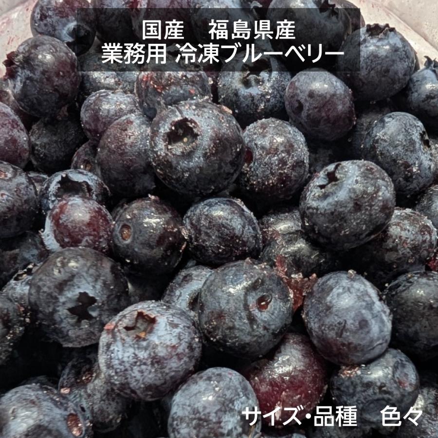 国産 冷凍ブルーベリー 加工用 業務用 農薬不使用 14.4kg 福島県