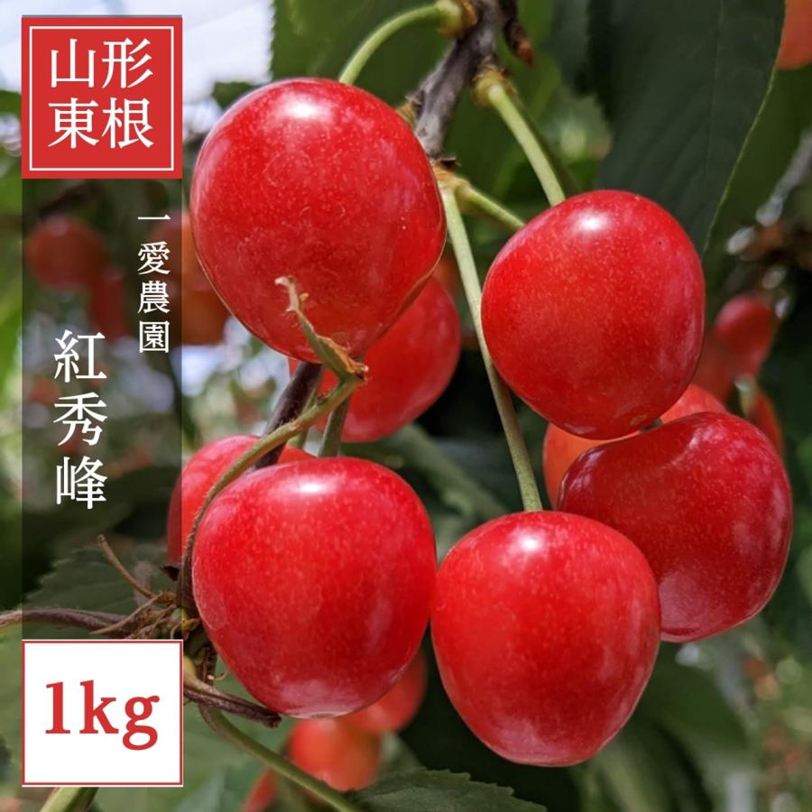 さくらんぼ 【一愛農園】 紅秀峰 1kg ２L  秀  贈答 山形県東根市 《6/下旬〜7/上旬の出荷》 | 