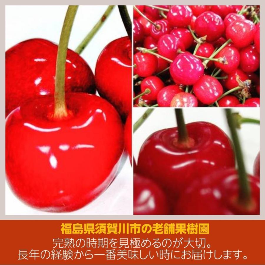 さくらんぼ 【佐藤果樹園】 佐藤錦 1kg 秀 L 《6/中旬〜6/下旬の出荷