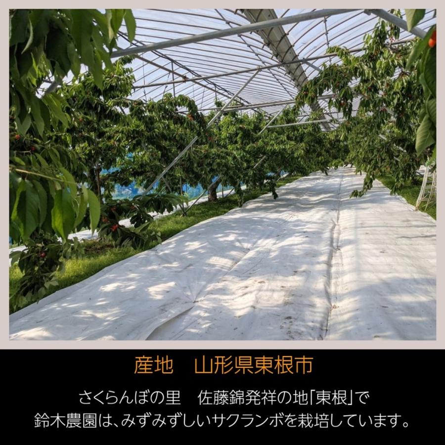 さくらんぼ 【鈴木農園】 佐藤錦 1kg L〜２L 贈答 山形県東根市 《6/中旬〜6/下旬の出荷》 |  | 01