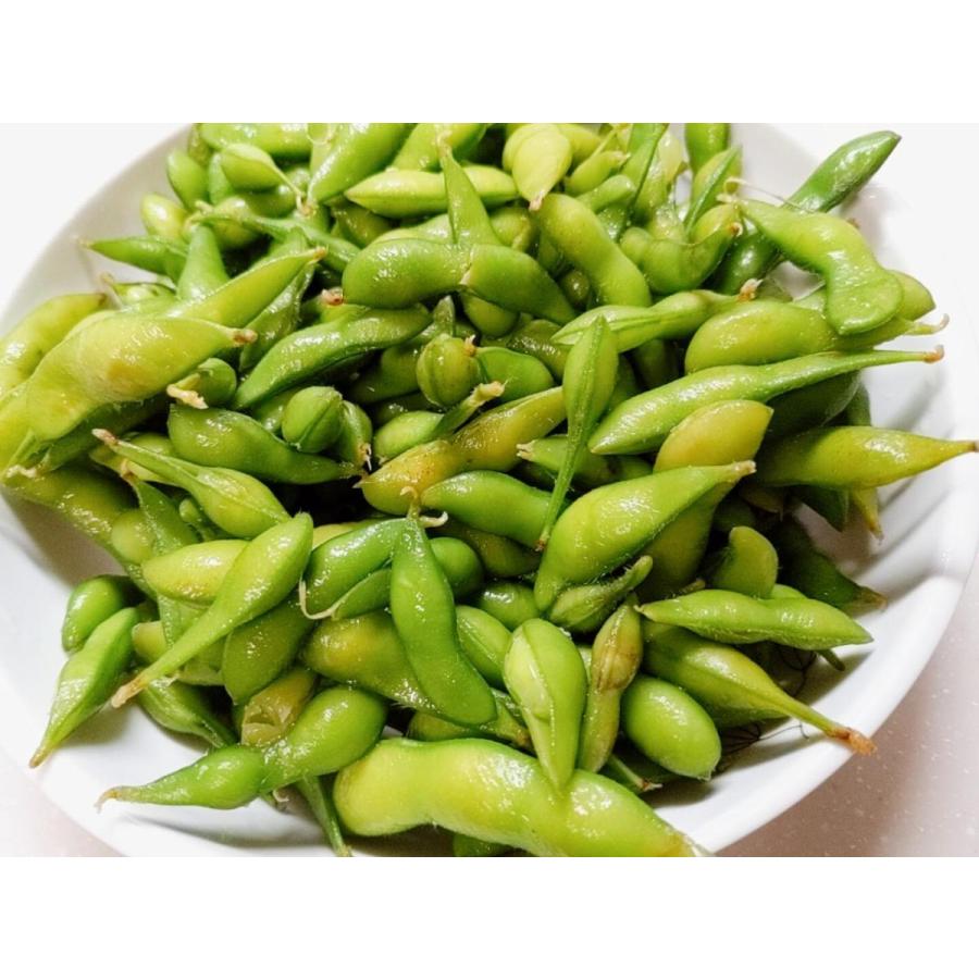 鈴木農園】枝豆 5kg（250g×20袋）家庭用・訳ありB級品 福島県