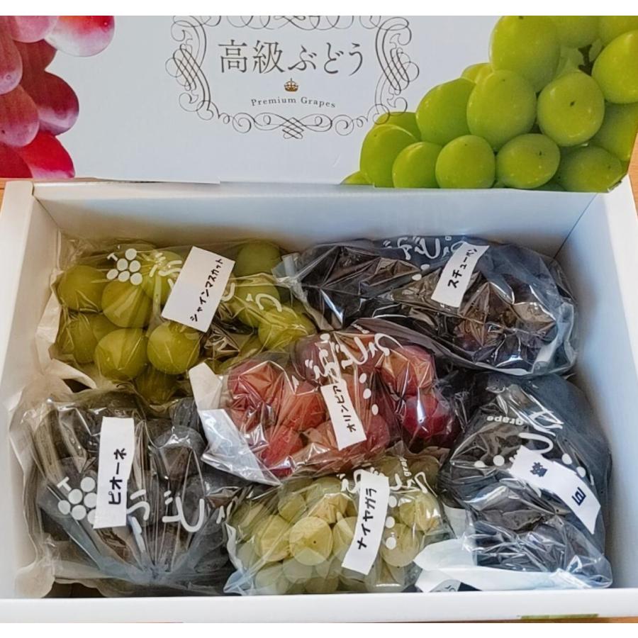 ぶどう【大山果樹園 葡萄 詰め合わせ ぶどう三昧セット（ シャイン