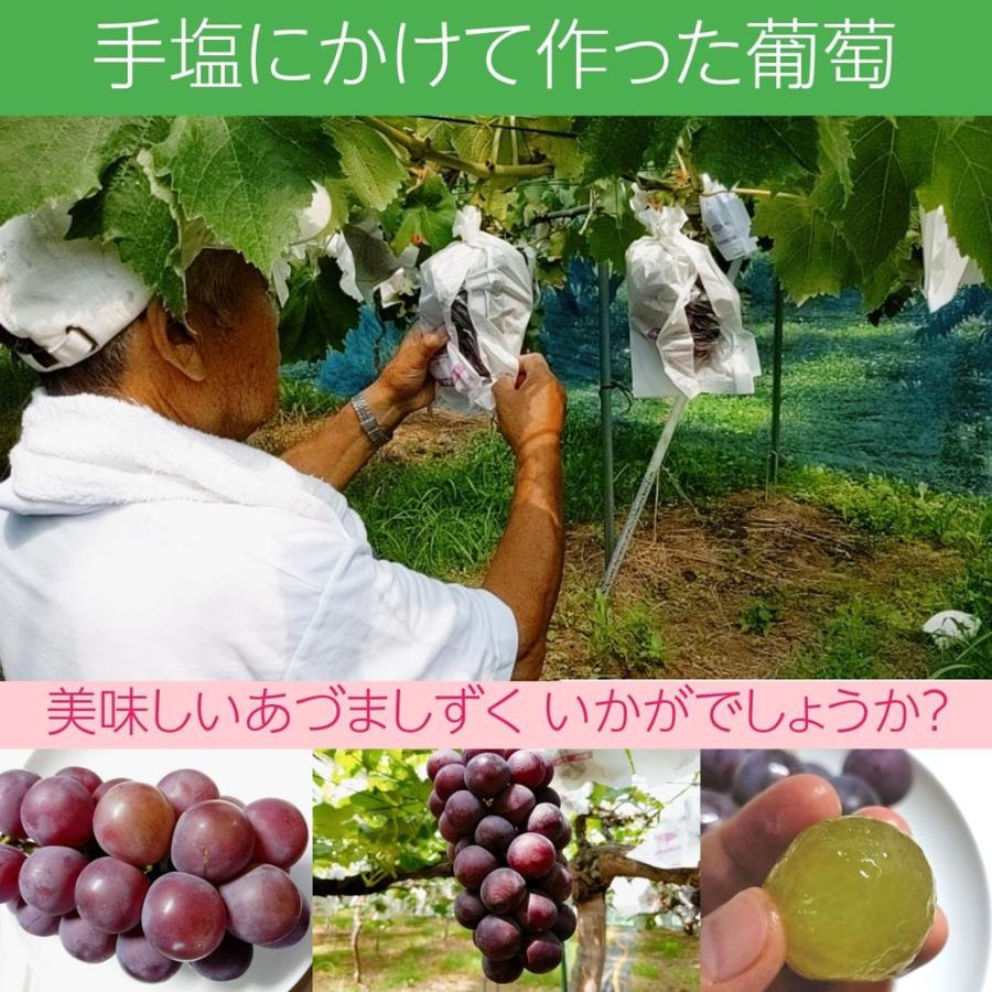 ぶどう 【佐藤果樹園】 あづましずく 1.5kg 2〜4房 贈答用 福島県