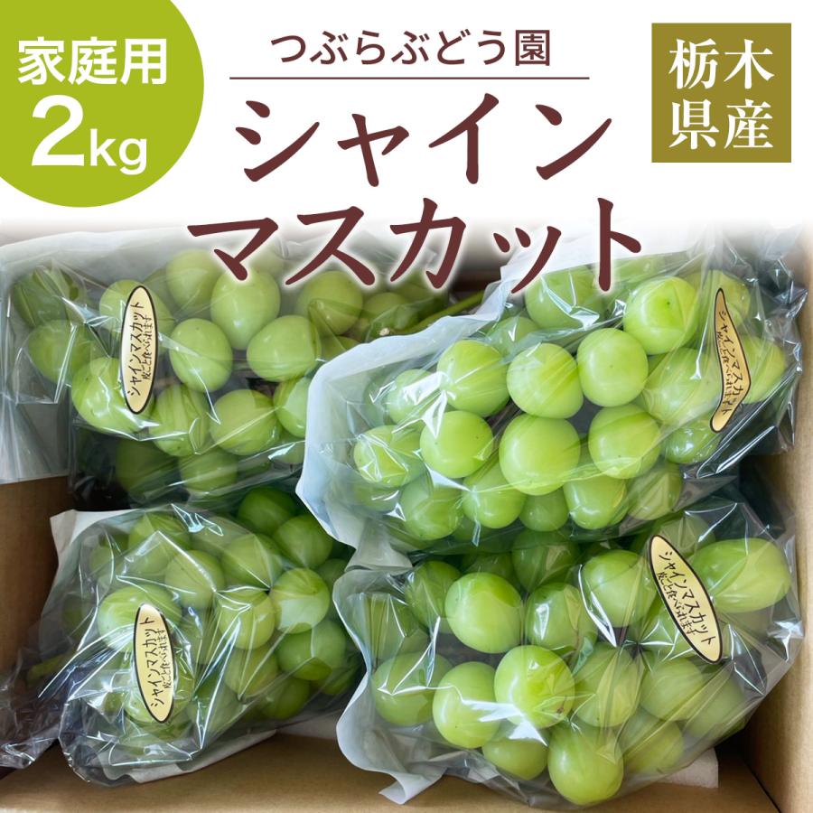ぶどう 【つぶらぶどう園】 家庭用 シャインマスカット 2kg 栃木県栃木