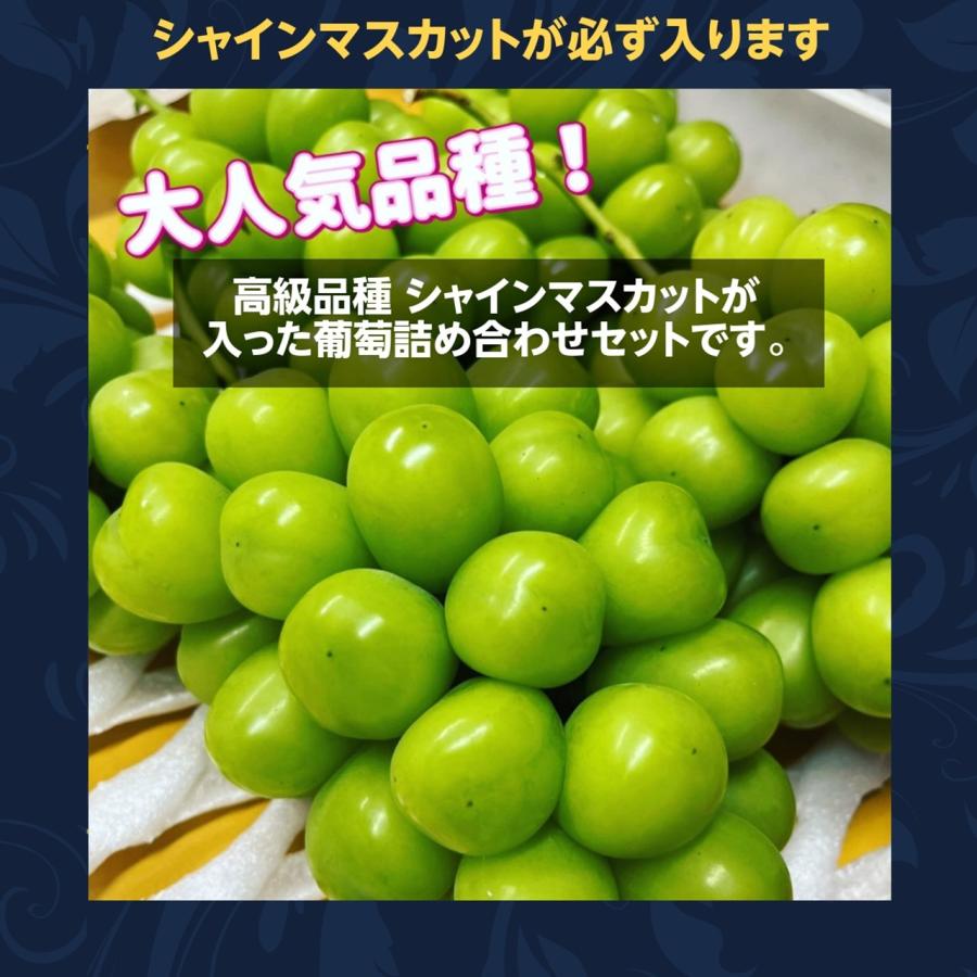 ぶどう 【土屋農園】 葡萄 詰め合わせ 約2kg 3〜4房 シャイン ぶどう 【土屋農園】 葡萄 詰め合わせ 約2kg 3〜4房 シャイン