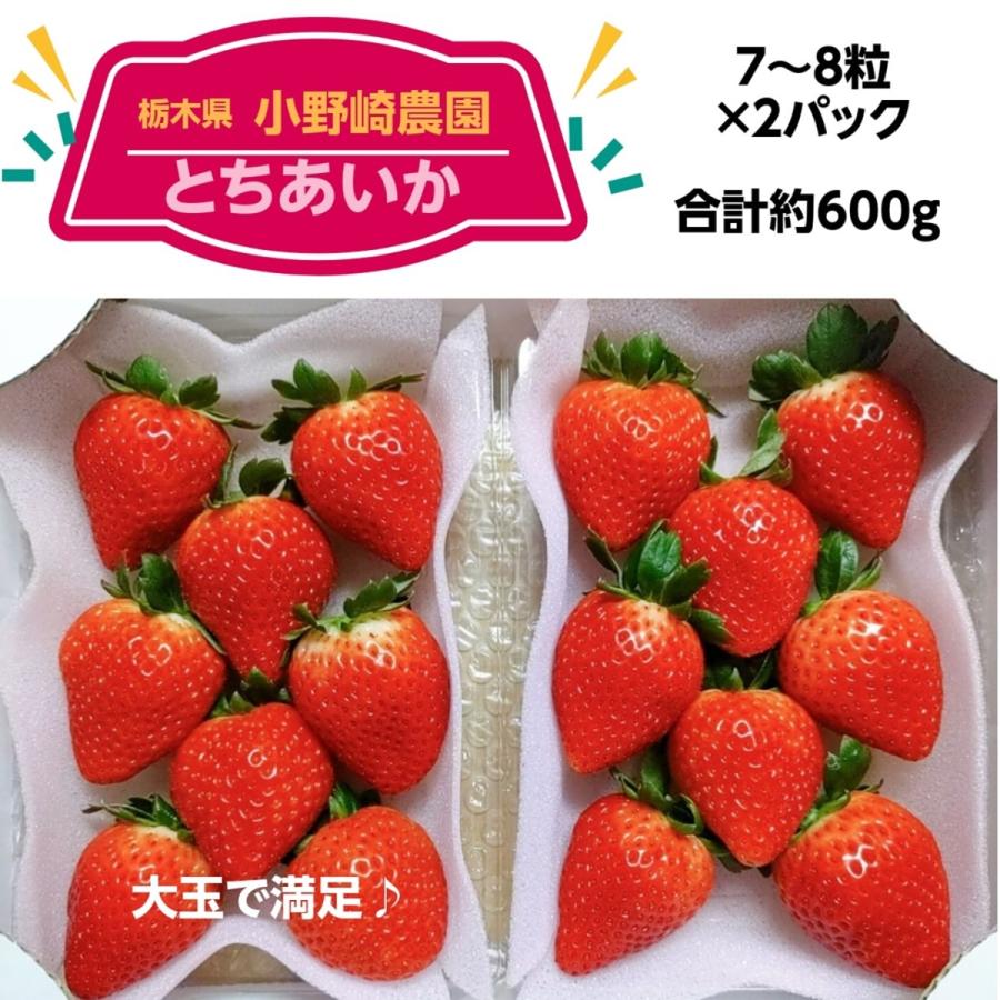 いちご 【小野崎農園】 とちあいか 平パック14〜20粒(大玉7〜10 いちご 【小野崎農園】 とちあいか 平パック14〜20粒(大玉7〜10