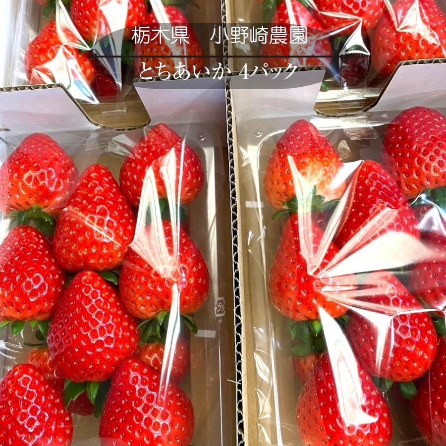 いちご 【小野崎農園】 とちあいか 大玉 Aサイズ 280g 8〜12粒 いちご 【小野崎農園】 とちあいか 大玉 Aサイズ 280g 8〜12粒