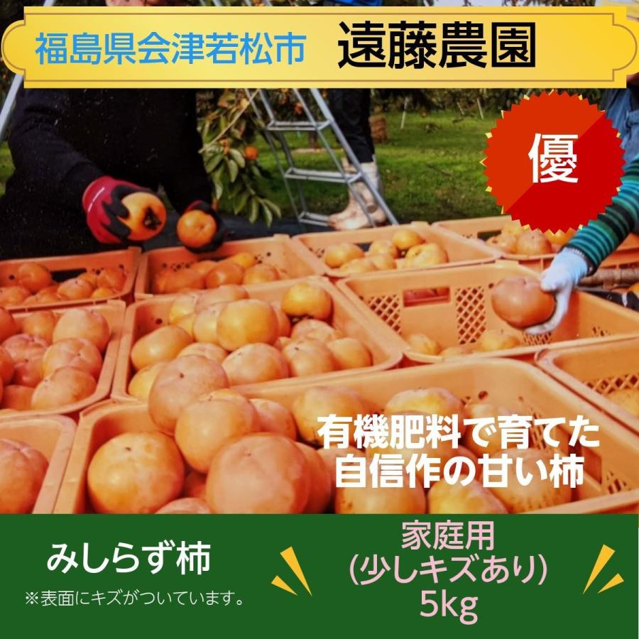 柿 【遠藤農園】みしらず柿 御山柿 5kg 4L5L 12〜14個 優 家庭用 柿 【遠藤農園】みしらず柿 御山柿 5kg 4L5L 12〜14個 優 家庭用