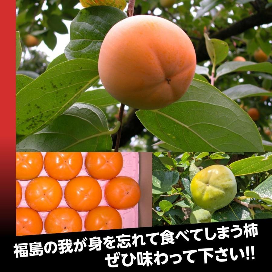 柿 【遠藤農園】みしらず柿 御山柿 5kg 4L5L 12〜14個 優 家庭用 福島