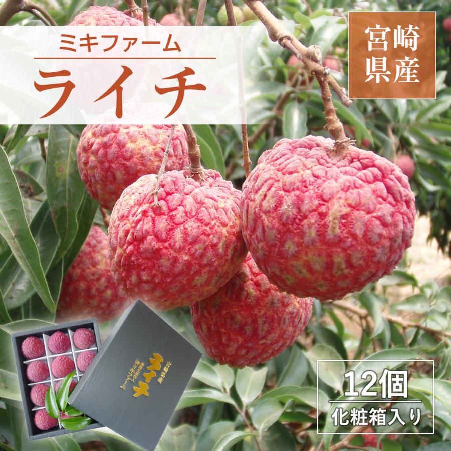 ライチ 【ミキファーム】 国産 生ライチ 450g 特選 大粒 12個 贈答用 御中元 宮崎県高鍋町 《7/上旬〜7/下旬の出荷》 | 