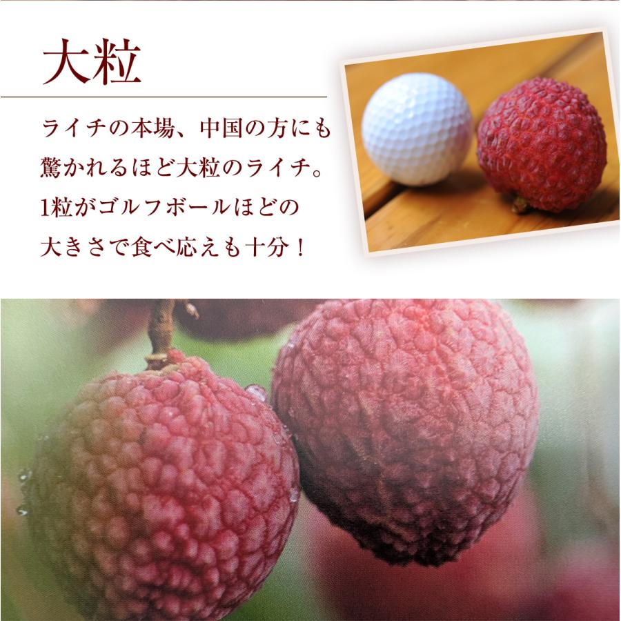 ライチ 【ミキファーム】 国産 生ライチ 600g サイズ色々 贈答用 御中元 宮崎県高鍋町 《7/上旬〜7/下旬の出荷》 |  | 07