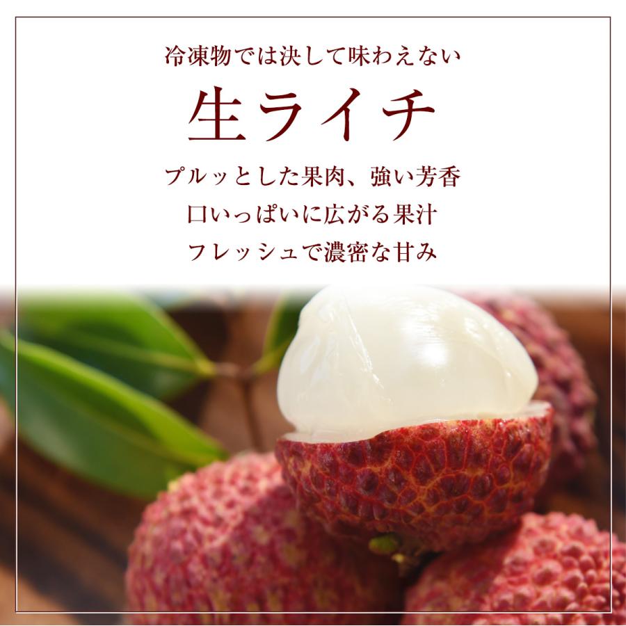 ライチ 【ミキファーム】 国産 生ライチ 600g サイズ色々 贈答用 御中元 宮崎県高鍋町 《7/上旬〜7/下旬の出荷》 |  | 08