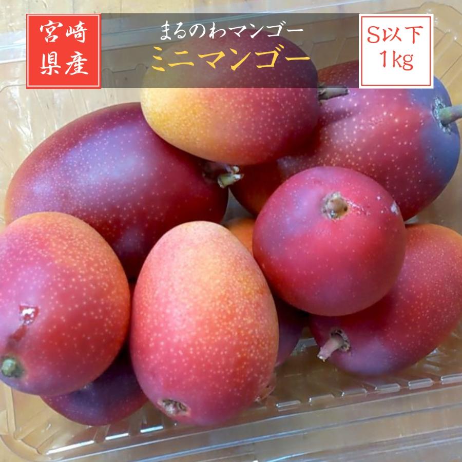 マンゴー 【まるのわマンゴー】 完熟 小さい ミニマンゴー 1kg 宮崎県 