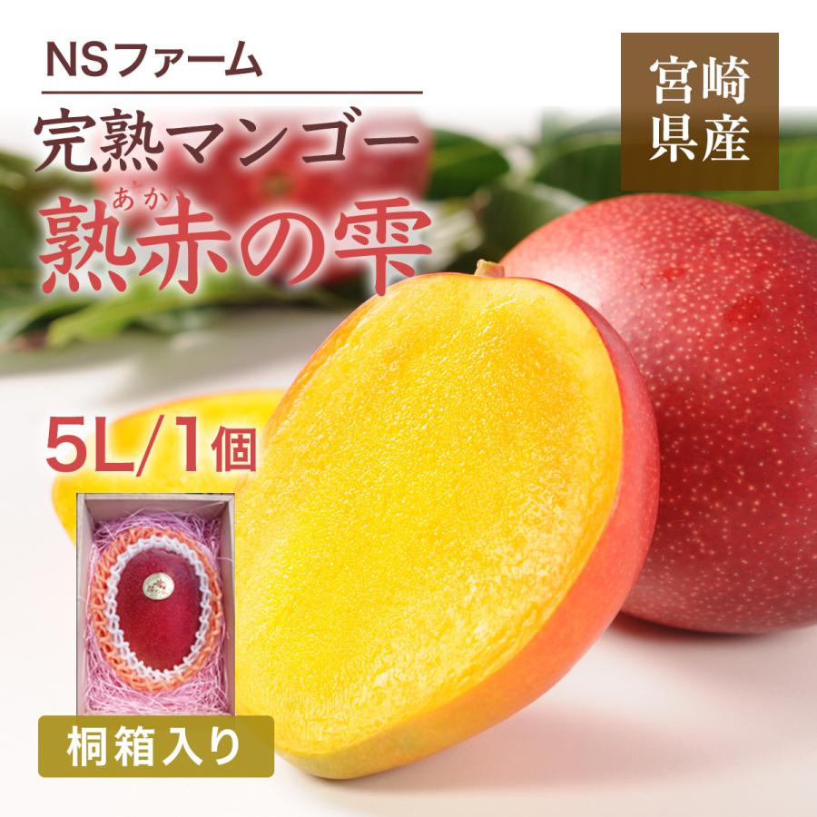 完熟マンゴーファミリータイプ専用品 マンゴー 【NSファーム】 完熟マンゴー 糖度15度 ブランドマンゴー 熟