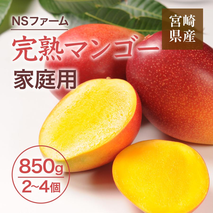 マンゴー 【NSファーム】 完熟マンゴー 850g 2〜4個 家庭用 宮崎県宮崎 
