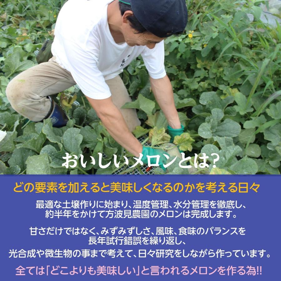 メロン 【方波見農園】 ゆうか 優香 3L以上 2玉 2.4~3.6kg以上 糖度16