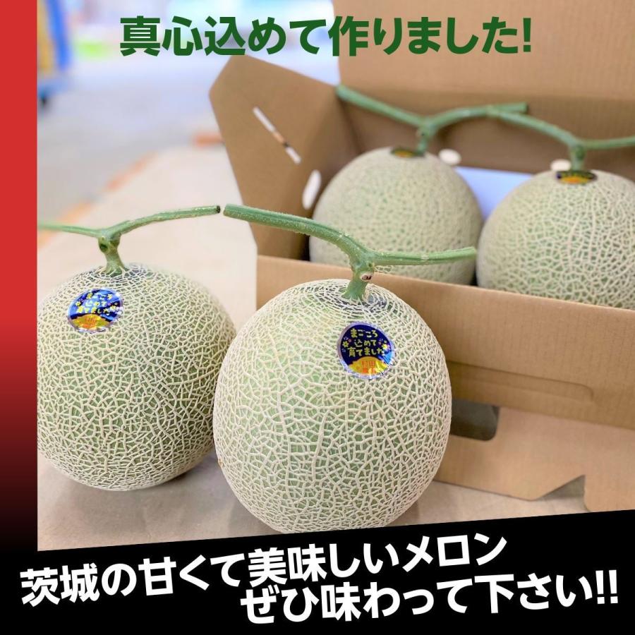 メロン 【メロンの村田】 アールスメロン 2玉 4kg以上 糖度16前後 贈答