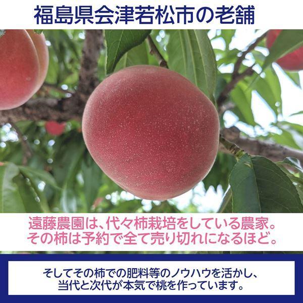 桃 【遠藤農園】 もも 3.5kg 中玉13〜14個 贈答 品種色々 福島県 《7