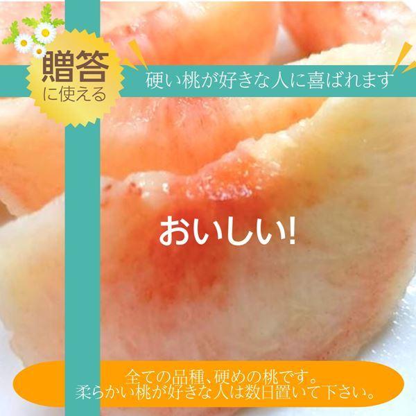 桃 【遠藤農園】 もも 3.5kg 中玉13〜14個 贈答 品種色々 福島県 《7