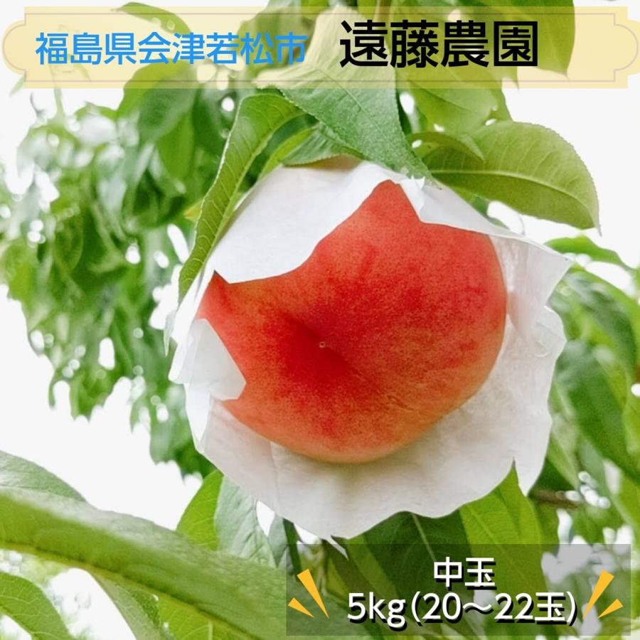 桃 【遠藤農園】 もも 5kg 中玉 20〜22個 品種色々 贈答 福島県 会津