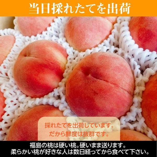 桃 【遠藤農園】 もも 5kg 中玉 20〜22個 品種色々 贈答 福島県 会津