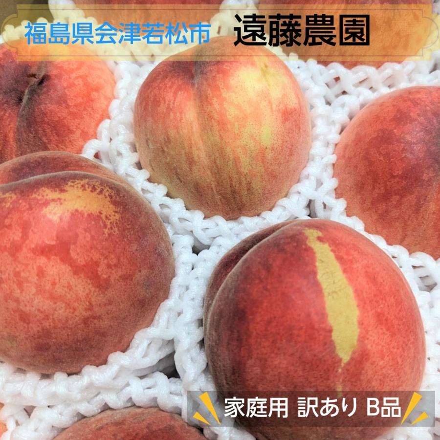 桃  【遠藤農園】 もも 訳あり 家庭用 B品 5kg 14〜22個 サイズ品種お任せ 福島県  《7/下旬〜8/上旬より出荷》 | 