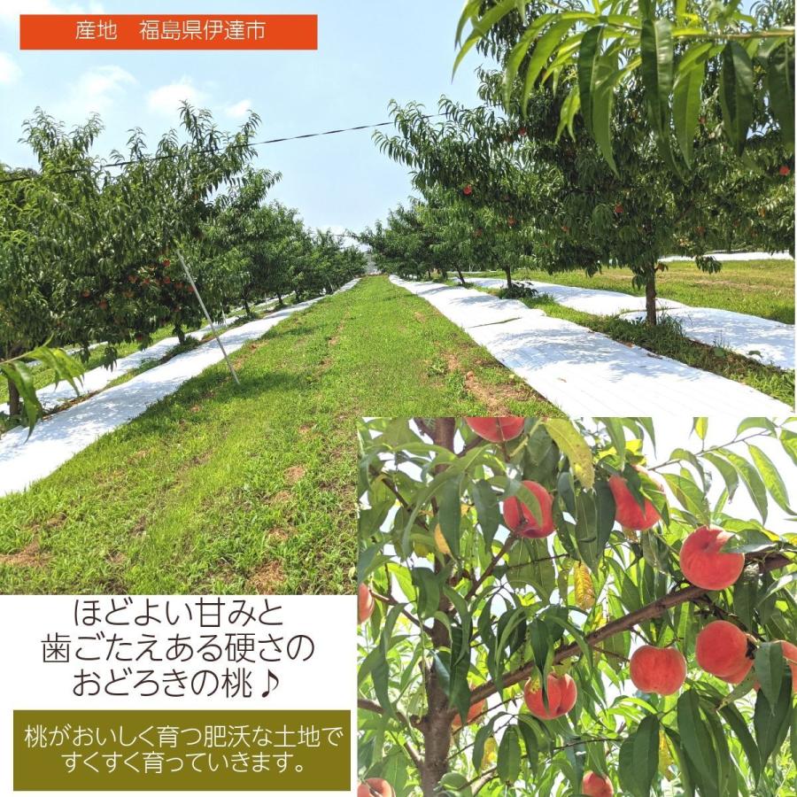 種まきうさぎ 桃 おどろき 2ｋｇ 6 7個 Momo Usagi1 にこやか産直アーケード 通販 Yahoo ショッピング