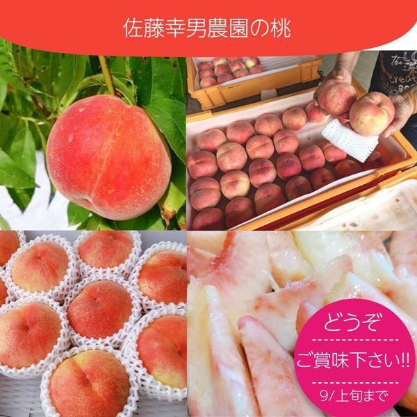 桃 【佐藤幸男農園】 もも 川中島 5kg 13〜16個 贈答用