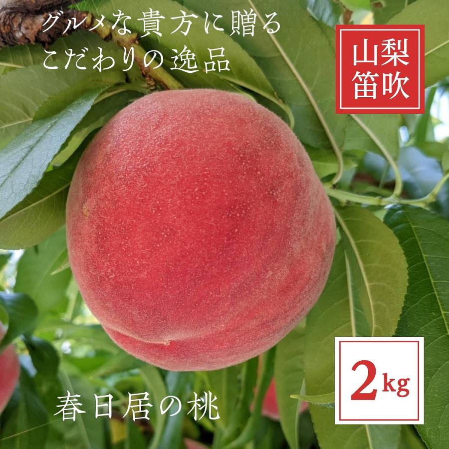 桃 【芦澤農園】 もも 高級 春日居の桃 2kg 大玉 5〜6個  お中元 御中元 山梨県笛吹市 《6/下旬〜7/上旬より出荷》 | 