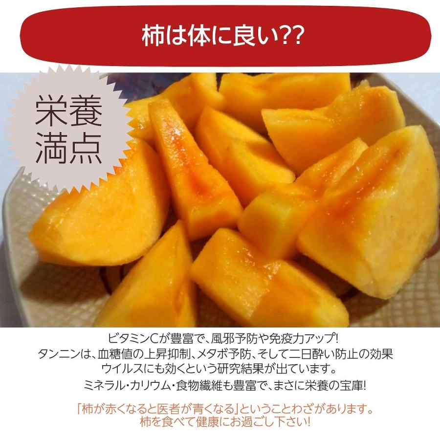 干柿 【さんさんファーム 森の家】 南信州の干し柿 無燻蒸柿 干柿 【さんさんファーム 森の家】 南信州の干し柿 無燻蒸柿