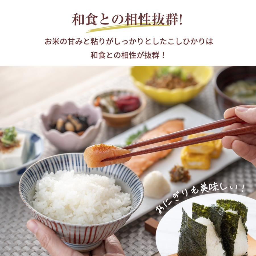 米 【大島カルチファーム】 こしひかり 玄米30kg 白米精米可能 令和7
