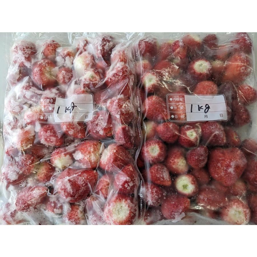 いちご 冷凍いちご 2kg 栃木県産 品種大きさ色々 イチゴ 苺 完熟 国産