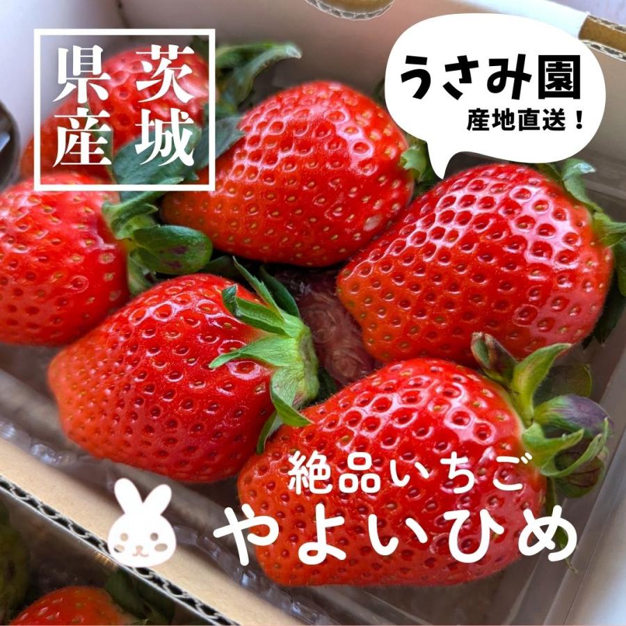 いちご 【うさみ園】 やよいひめ (8〜13個)280g×4P 1120g ステビア栽培