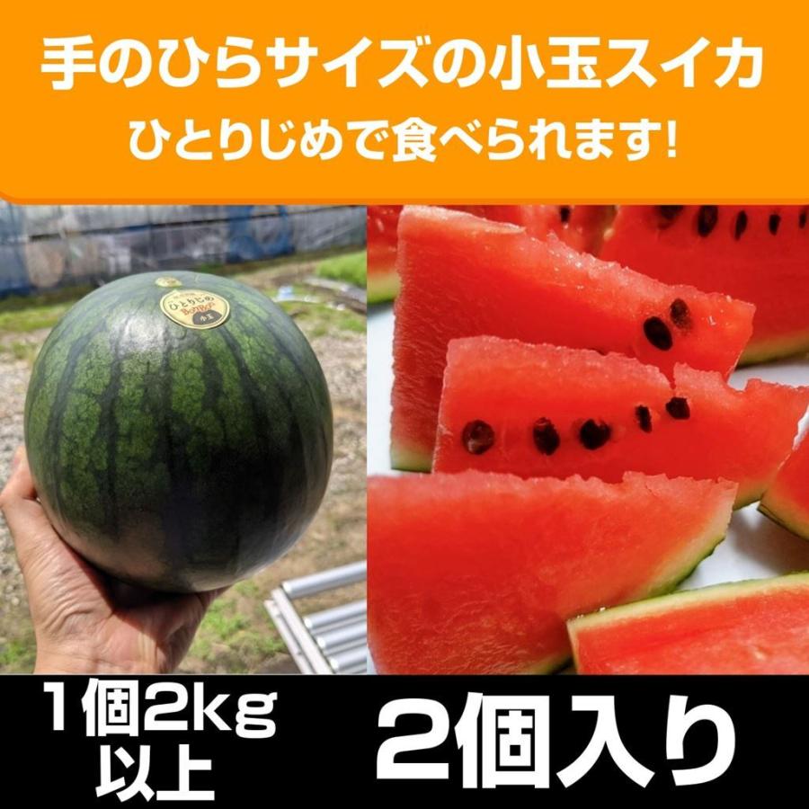 ひとりじめ小玉スイカ4玉 ひとりじめナノ 小玉スイカ 和歌山 4個 5kg