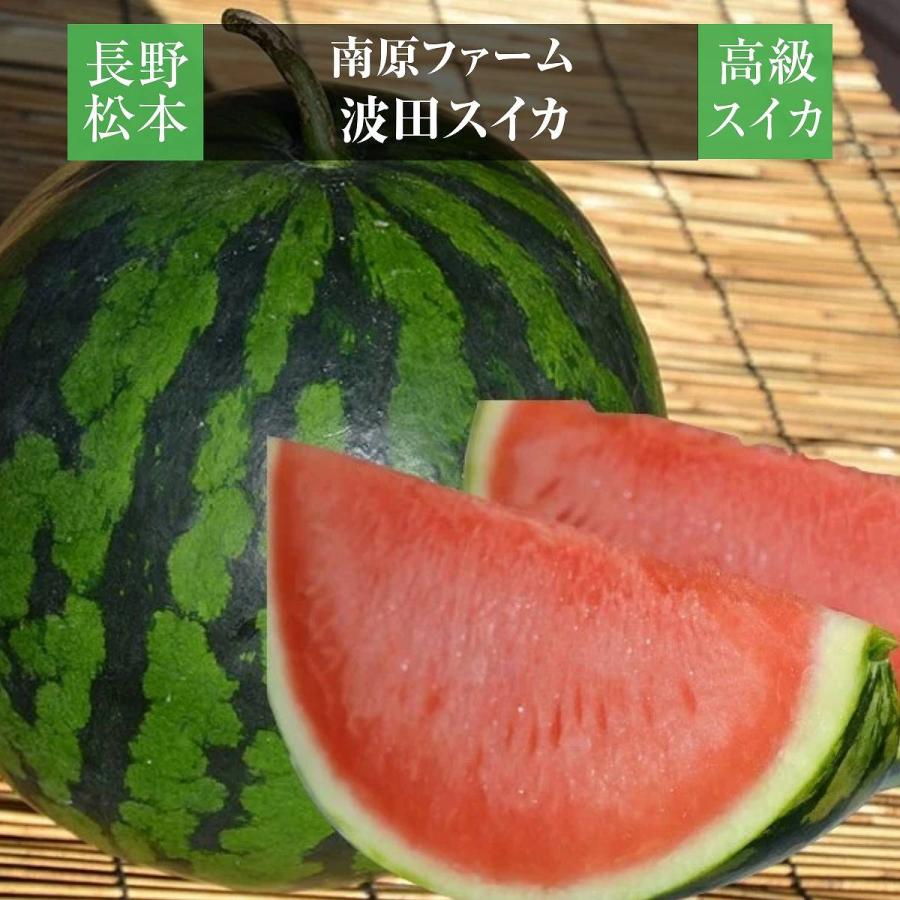 スイカ 【南原ファーム】 高級 波田スイカ 2L〜3L 7〜9kg 長野県松本市 御中元 《7/中旬より出荷》 | 