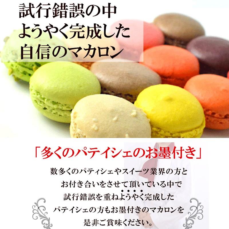 丸菱 冷凍Mマカロン(解凍後要冷蔵) フランボワーズ (大) 直径45mm×30個