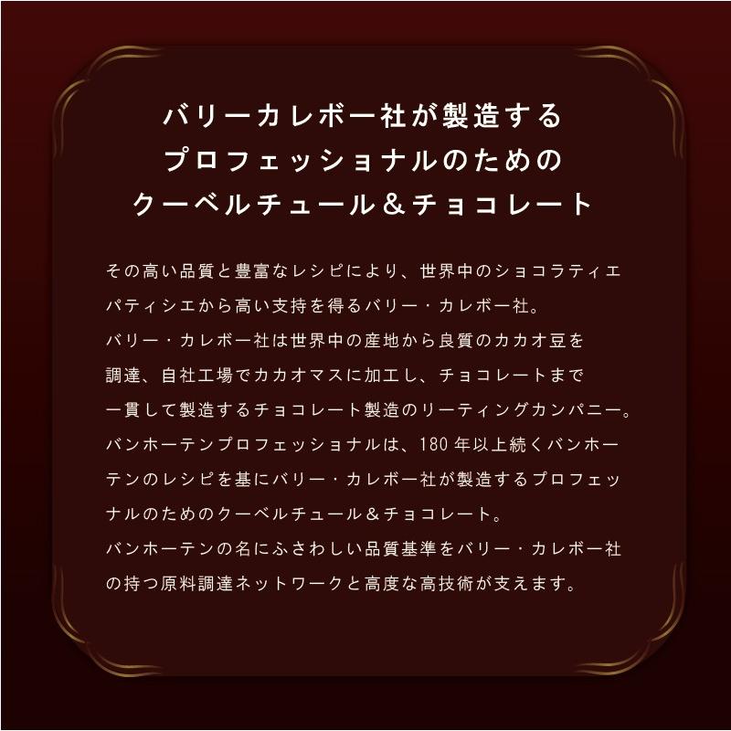 VANHOUTEN 製菓用チョコ バンホーテン NEWEXダークチョコレート 70.4% 1kg (夏季冷蔵) 手作り バレンタイン チョコレート クリスマス ハロウィン｜sweetkitchen｜04