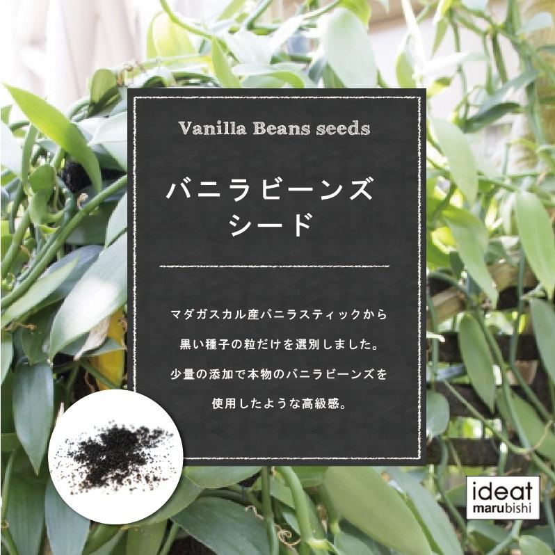 丸菱 マダガスカル産 バニラビーンズシード 種 30g(常温) : 業務 丸菱 マダガスカル産 バニラビーンズシード 種 30g(常温) : 業務
