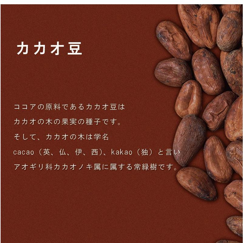VANHOUTEN(バンホーテン) 純ココア ヴァンホーテン ココア 5kg VANHOUTEN(バンホーテン) 純ココア ヴァンホーテン ココア 5kg