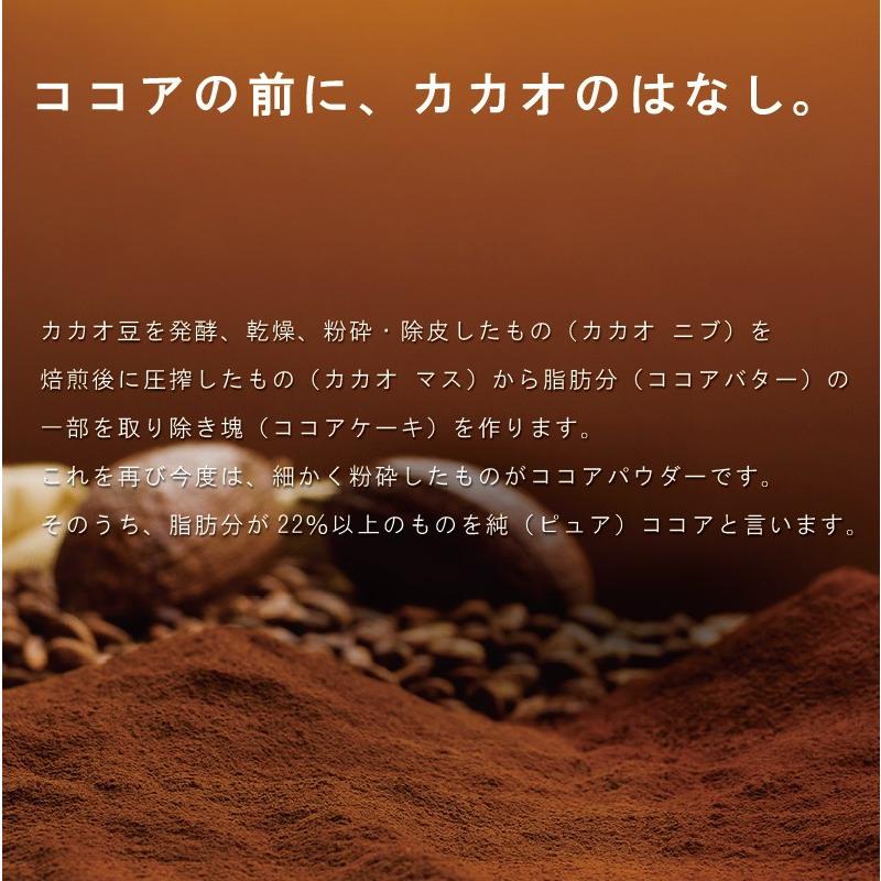 VANHOUTEN(バンホーテン) 純ココア ヴァンホーテン ココア 5kg VANHOUTEN(バンホーテン) 純ココア ヴァンホーテン ココア 5kg