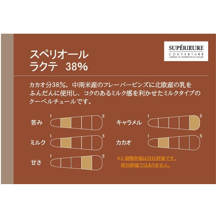 大東カカオ クーベルチュール スペリオールフォンセ 55％ 1kg 5-10月夏季クール便