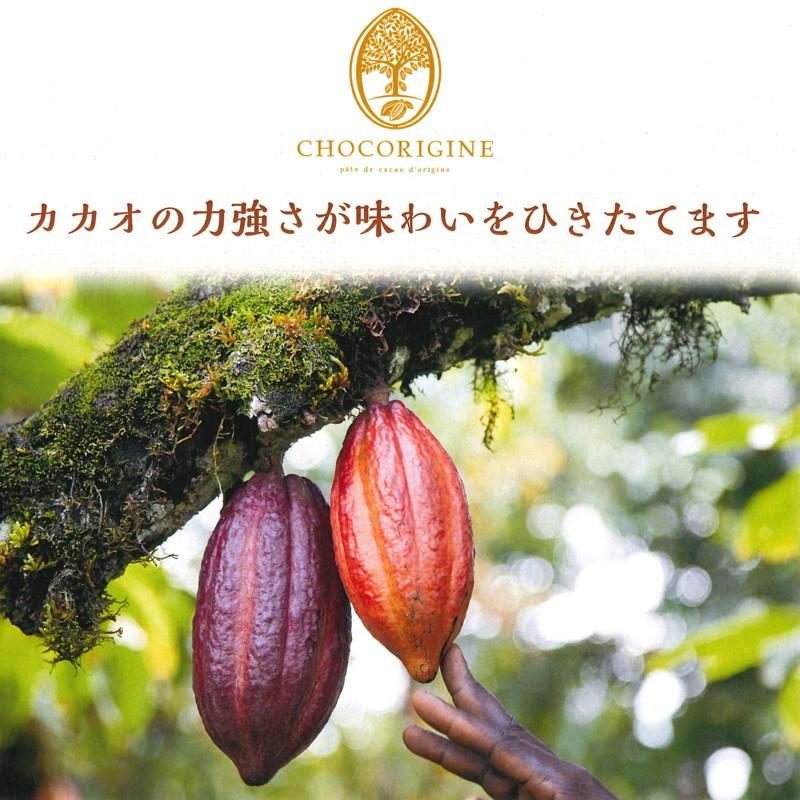 シングルカカオマス ショコリジーヌ ベネズエラ VEN 1kg シングルカカオマス ショコリジーヌ ベネズエラ VEN 1kg