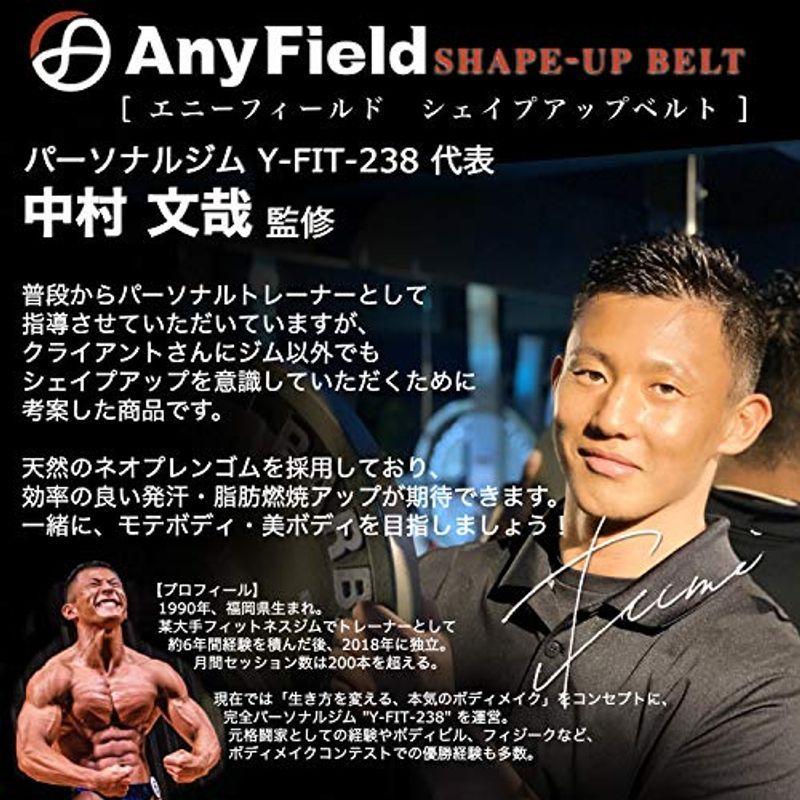 ビッグ割引 分配器 切替器 現役パーソナルトレーナー監修anyfield 筋トレ 腹筋 シェイプアップベルト Www Threeriversofs Com